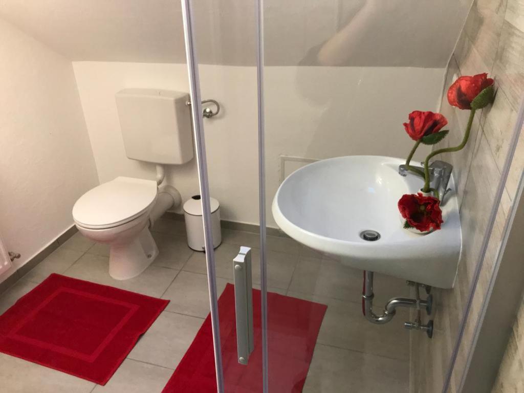 Haus Astenblick In Winterberg Fuer Bis Zu 35 Personen Fuer Wanderveranstaltungen Und Familienfeiern エクステリア 写真